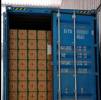 Kiểm tra container than củi tại cảng